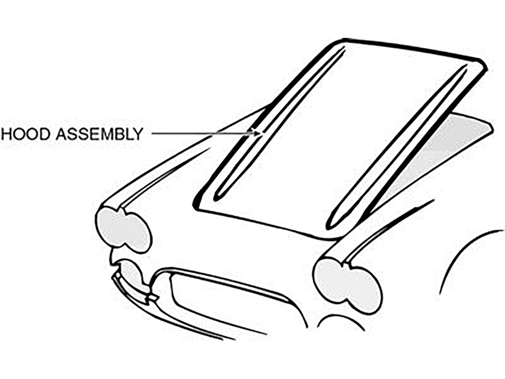 1953-1955 Hood Assembly - IFP