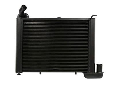 65 396 & 67-69 L88 Direct Fit Aluminum Radiator Radiator Finish: Black Ice Coat