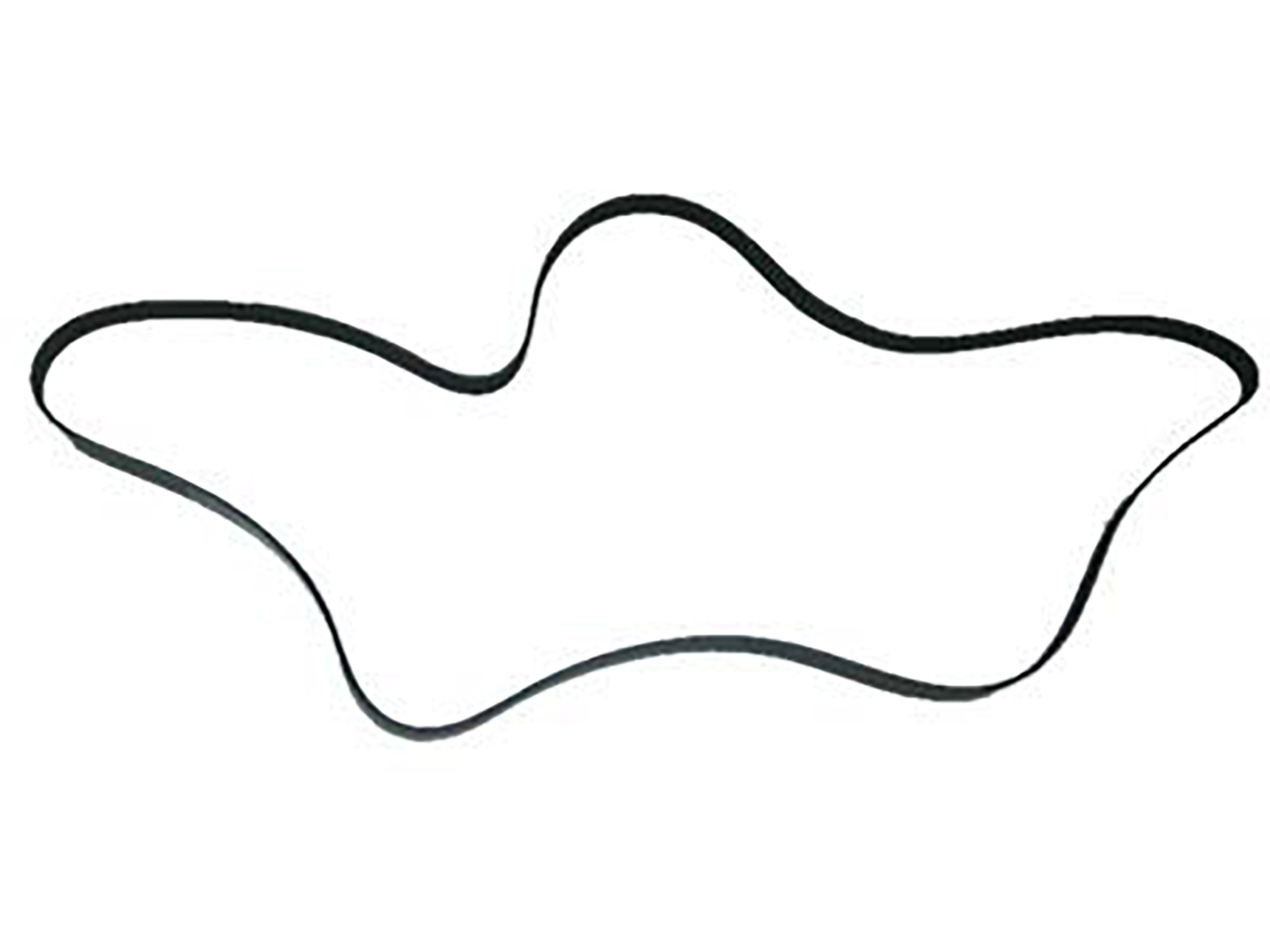 90-95 LT5 Serpentine Drive Belt