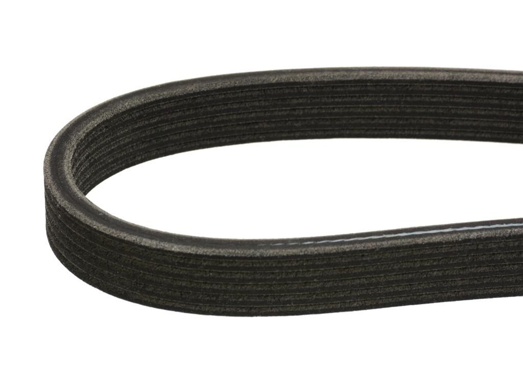 92-93E LT1 Serpentine Main Drive Belt (Double Sided)