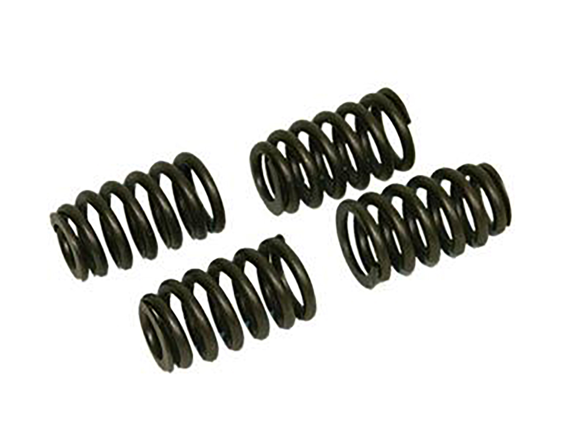97-05 Valve Springs - Stock (Set of 4)