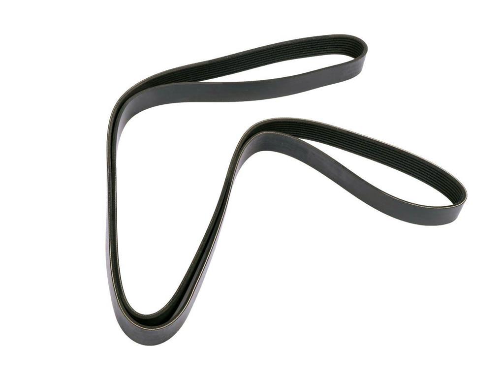 2019 Supercharger Drive Belt