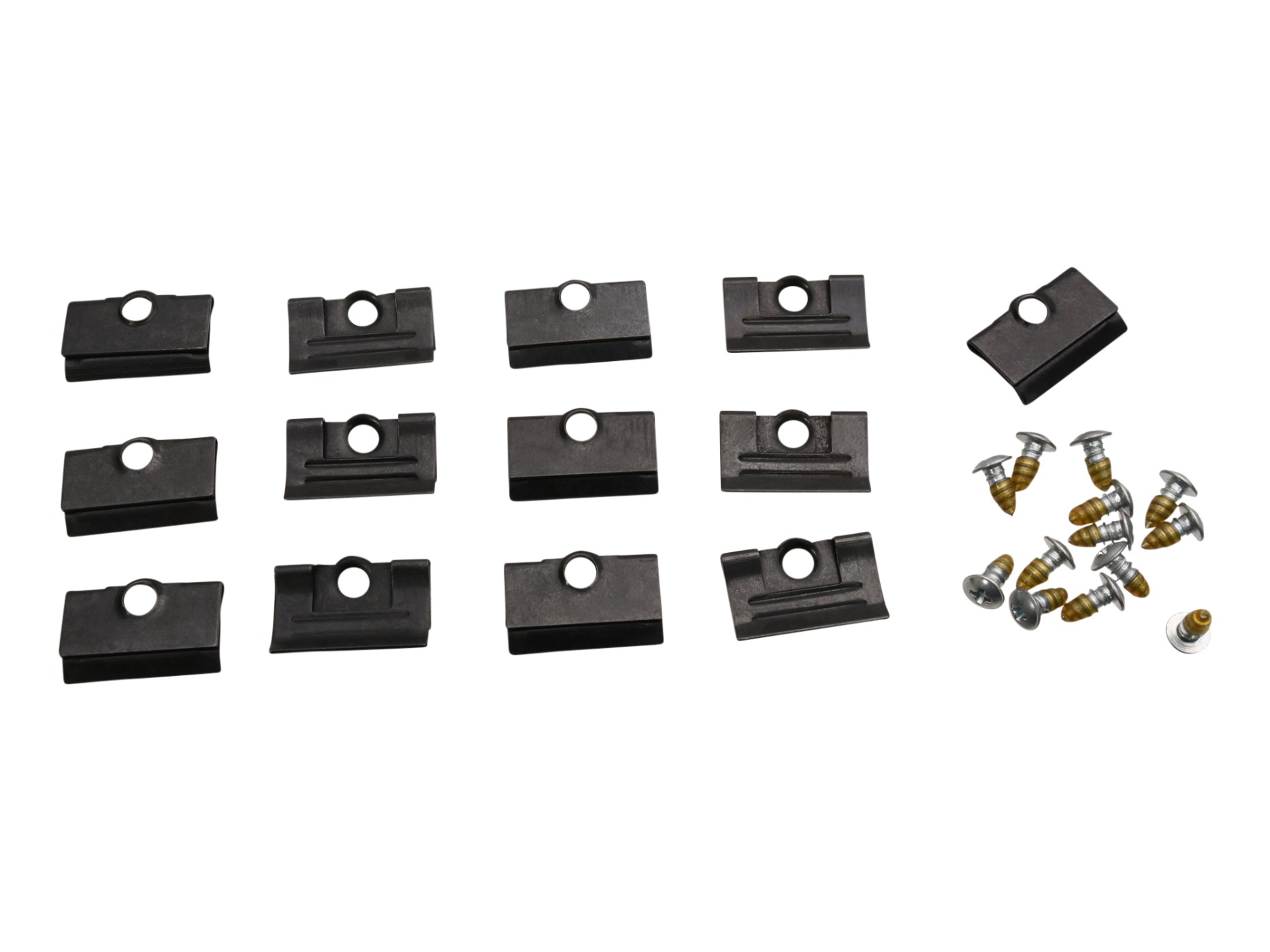 68-82 Windshield Molding Clips & Screws