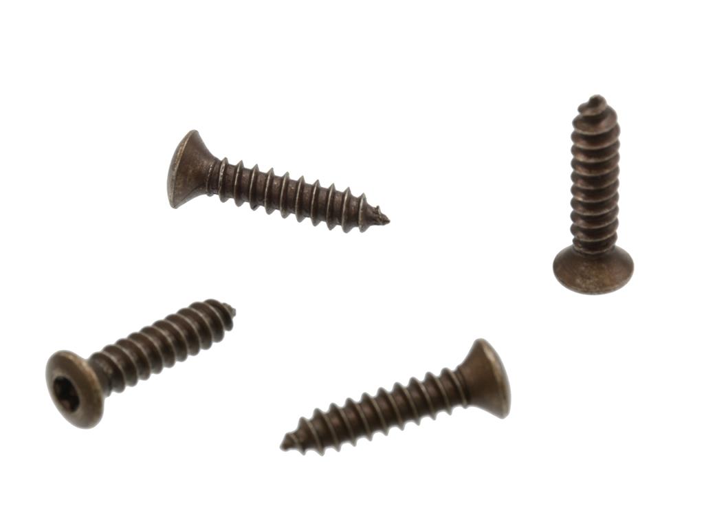 1984-2013 C4 Gas Door Plate To Deck / C6 Tail Lamp To Body Torx Screws