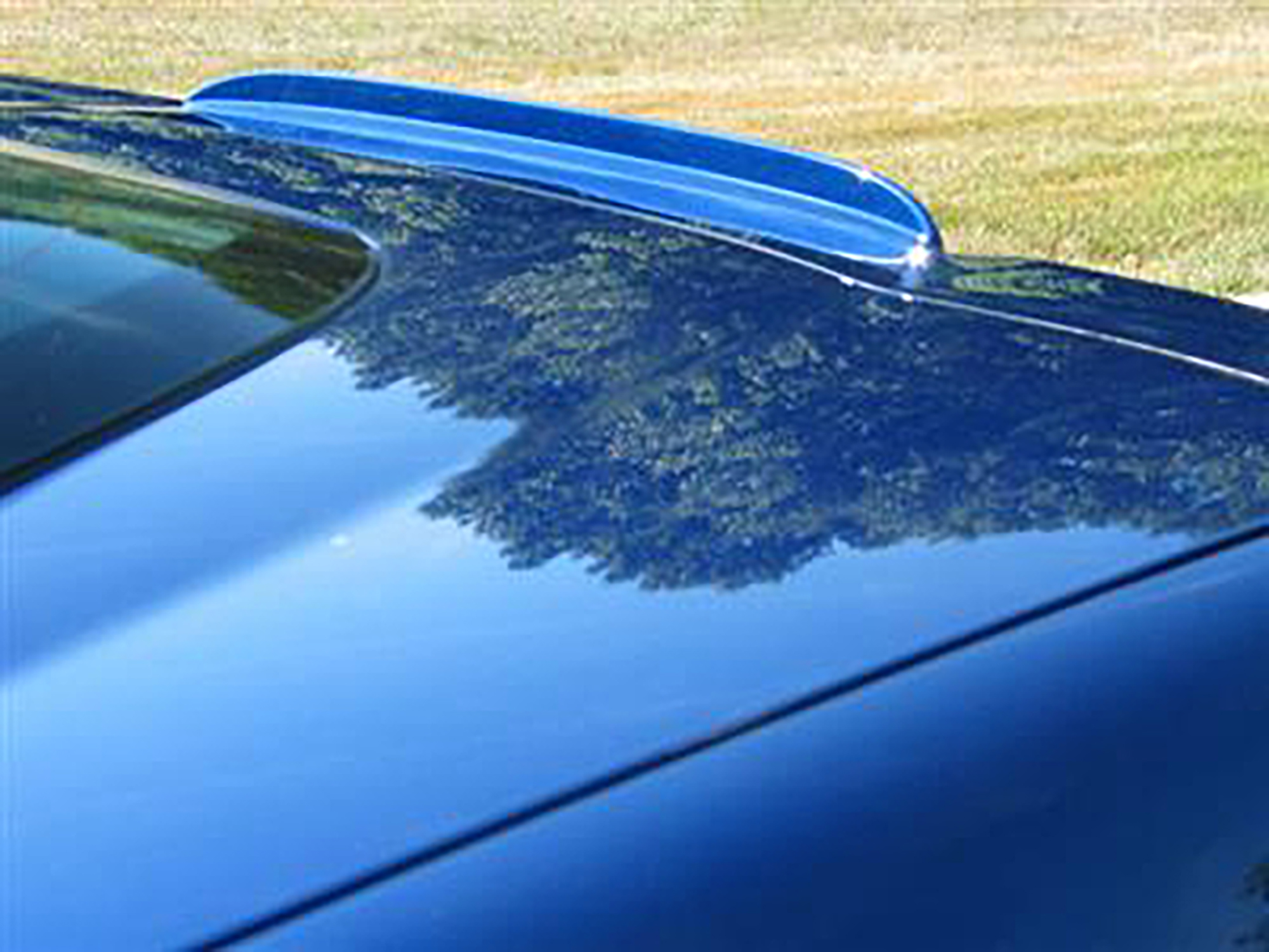05-13 Third Brake Light Housing Spoiler Z06 Or Grand Sport *Specify Color* (ND)