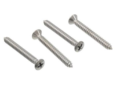 68-76 Sunvisor Rod to Windshield Screws