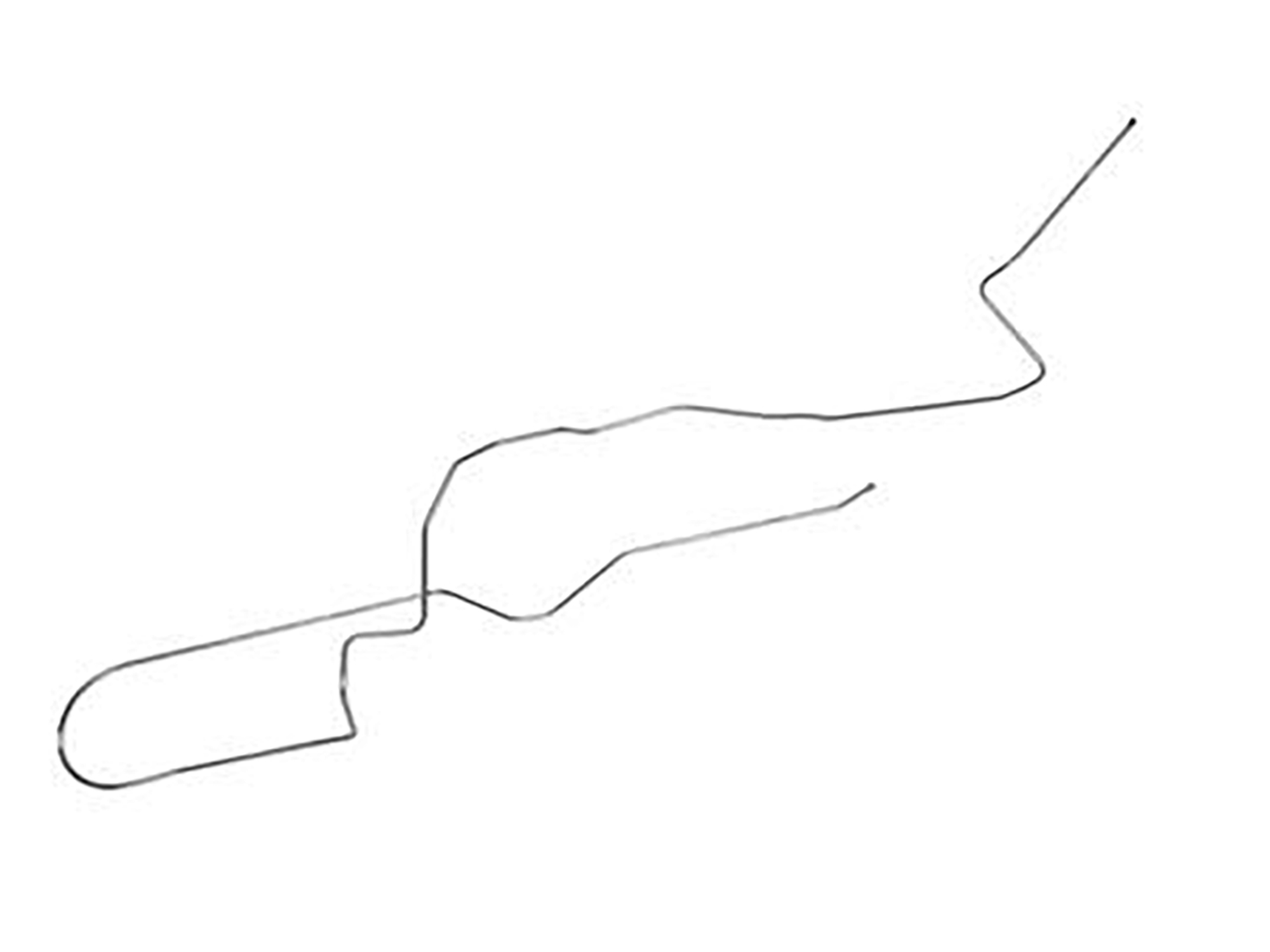 78-81 Gas Tank to Pump Fuel Line