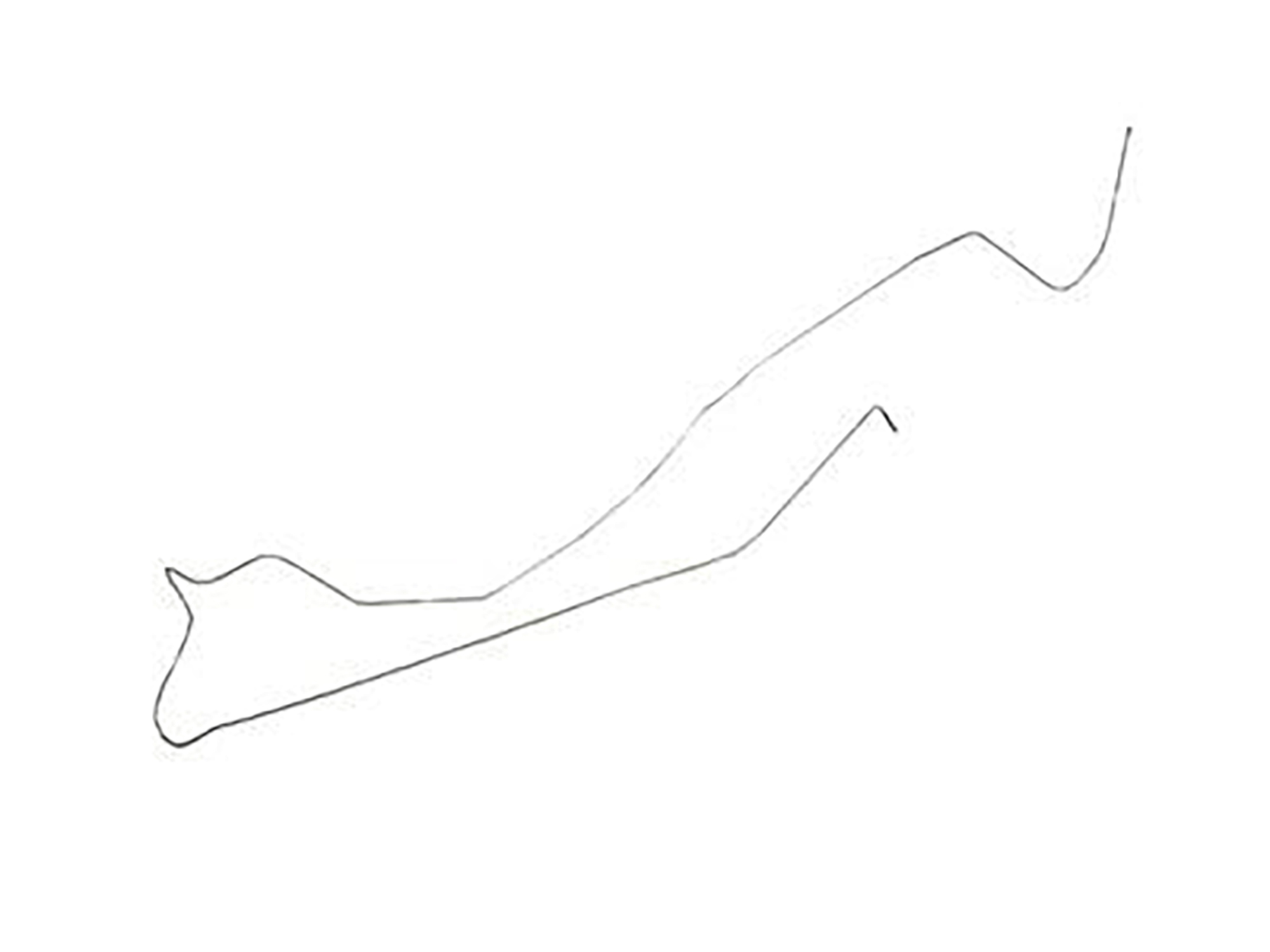 78-82 Gas Tank LH Fuel Vapor Line (Stainless)