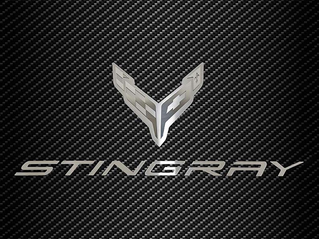 20-24 Hood Liner Stainless Emblem w/Stingray Script
