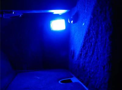 1997-2004 Interior LED Light Bulbs Kit *Specify Color*