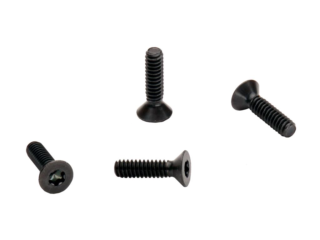 78-82 T-Top Rear Locator Mount Screws - Set of 4
