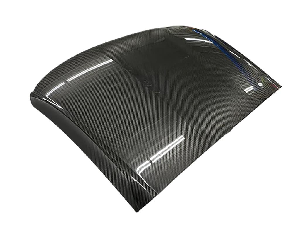 14-19 Carbon Fiber Roof Panel