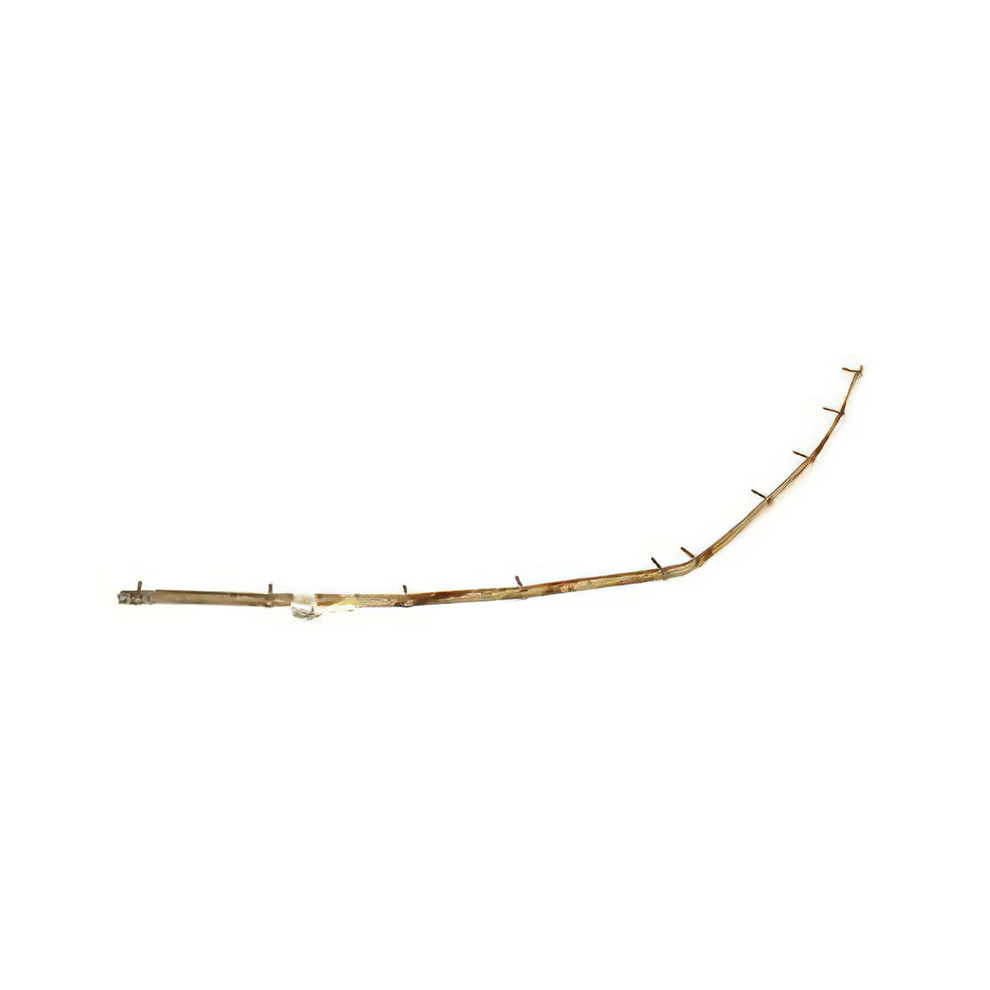 73-74 Front Bumper Cover Upper Retainer