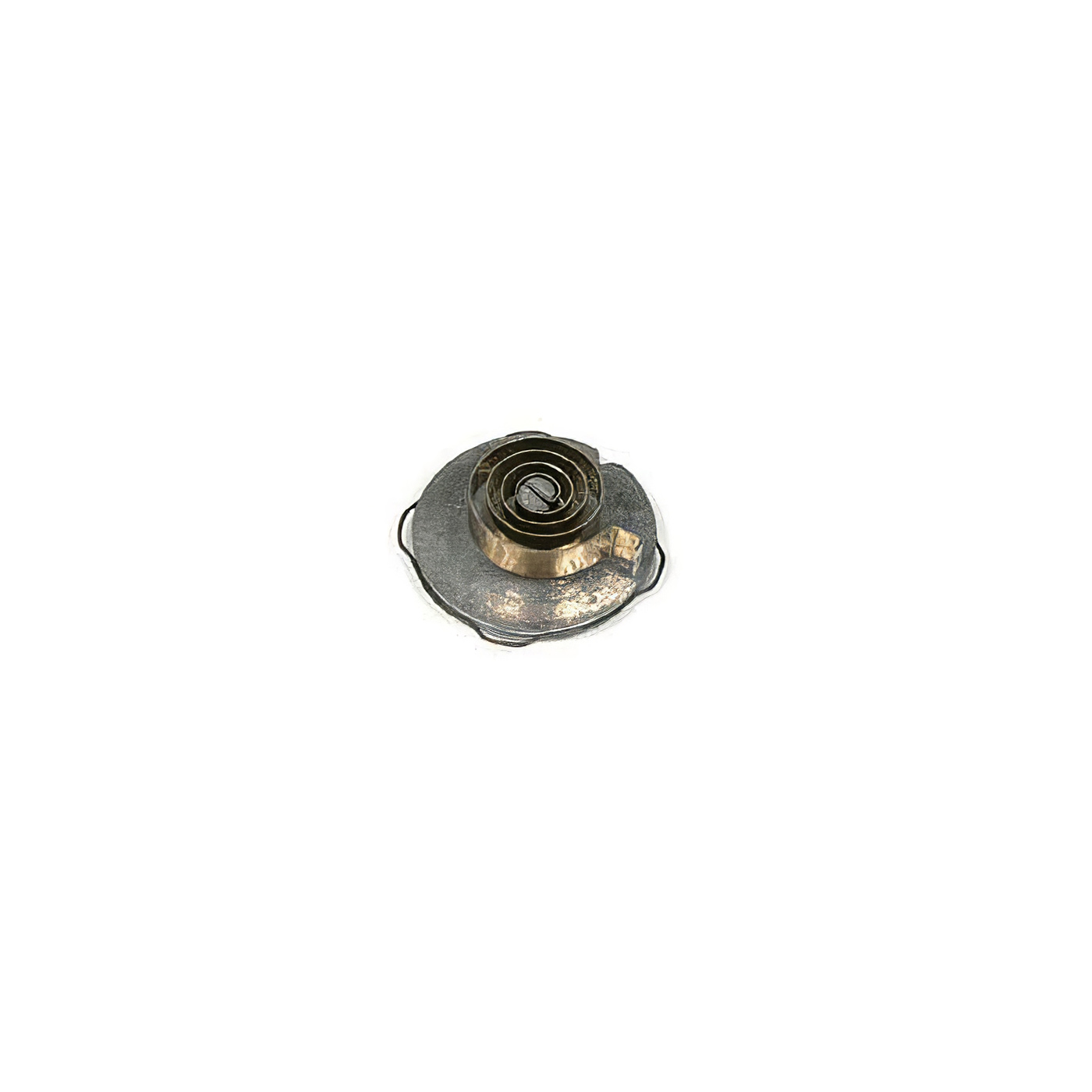 55-65 1x4 WCFB Choke Housing Disc w/Spring & Retainer