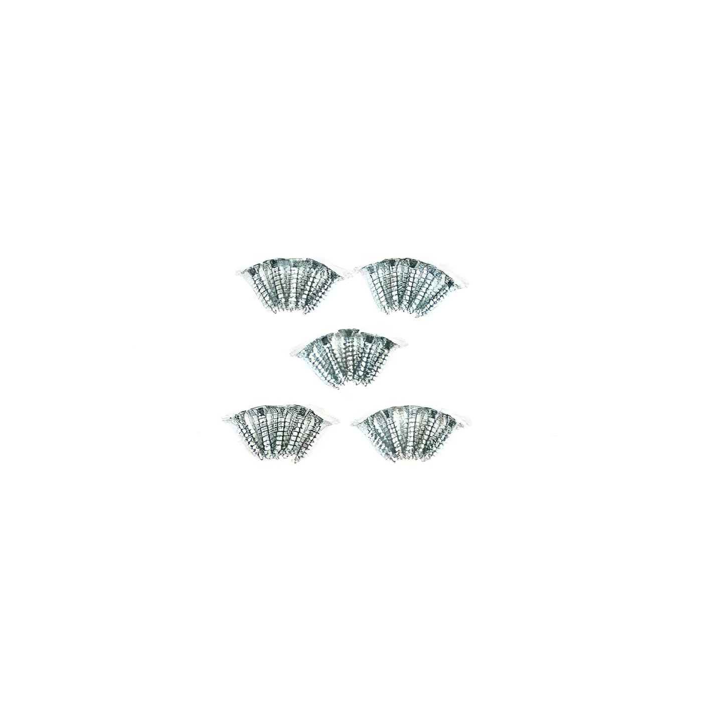 thumbnail product photo