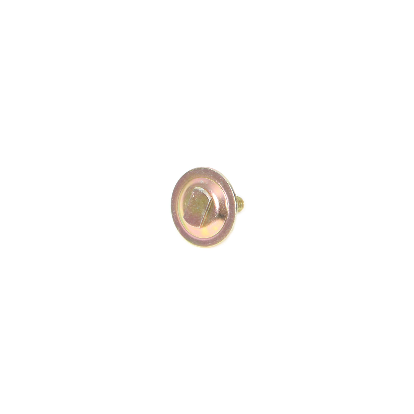 1968-1969E Door Glass Window Mounting Bolt