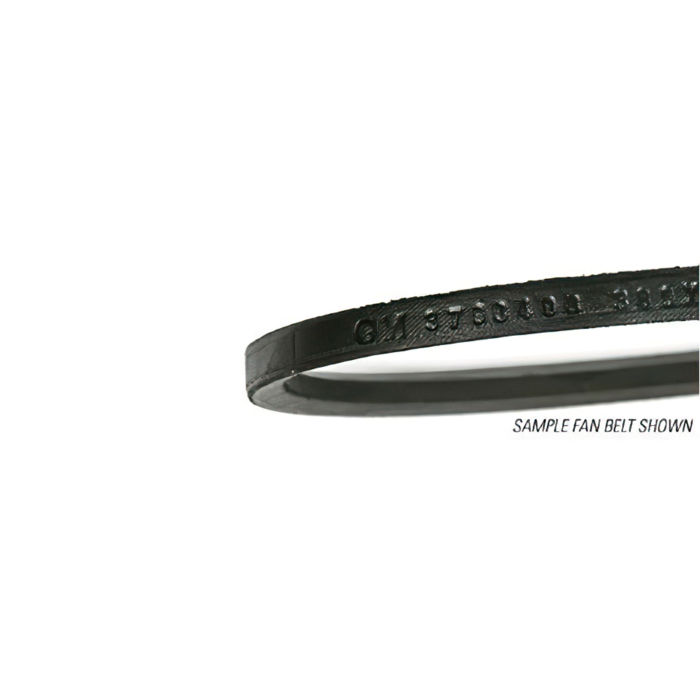 66-67 350hp w/o AC Power Steering Belt