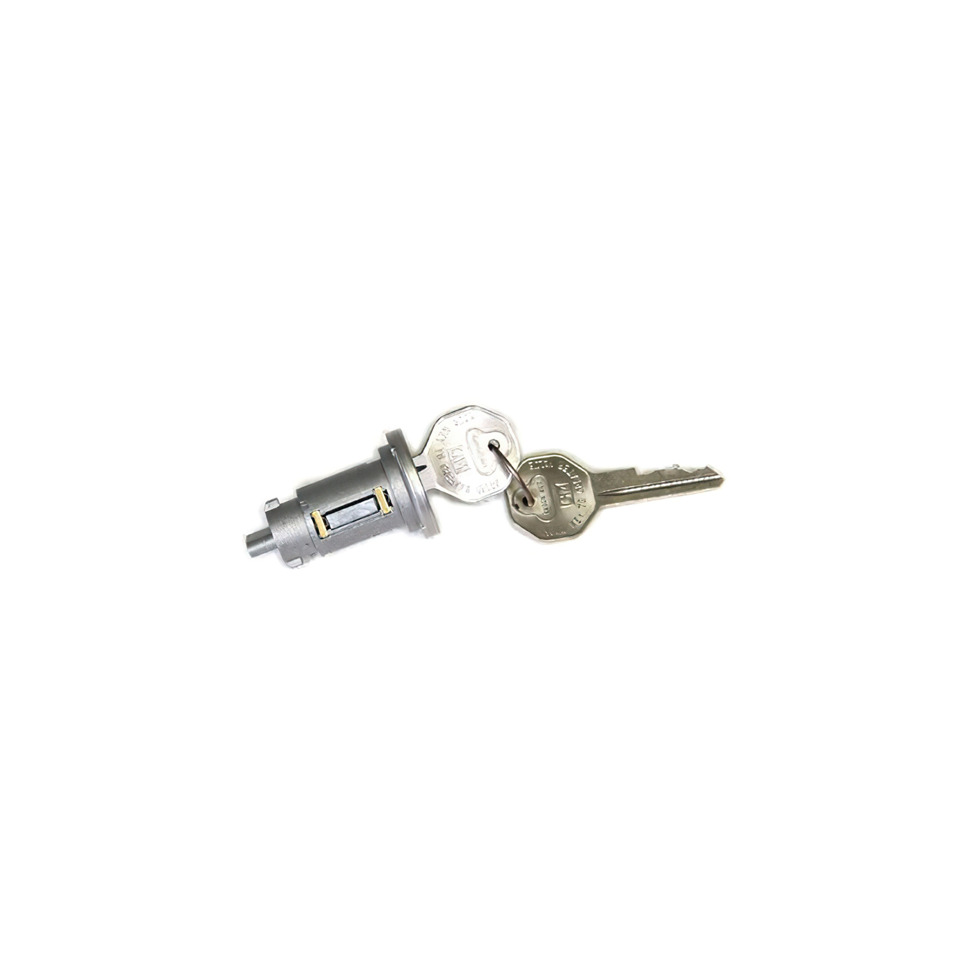 66 Ignition Lock Cylinder w/Keys
