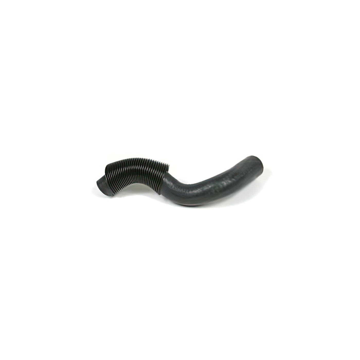 97-04 Lower Radiator Hose