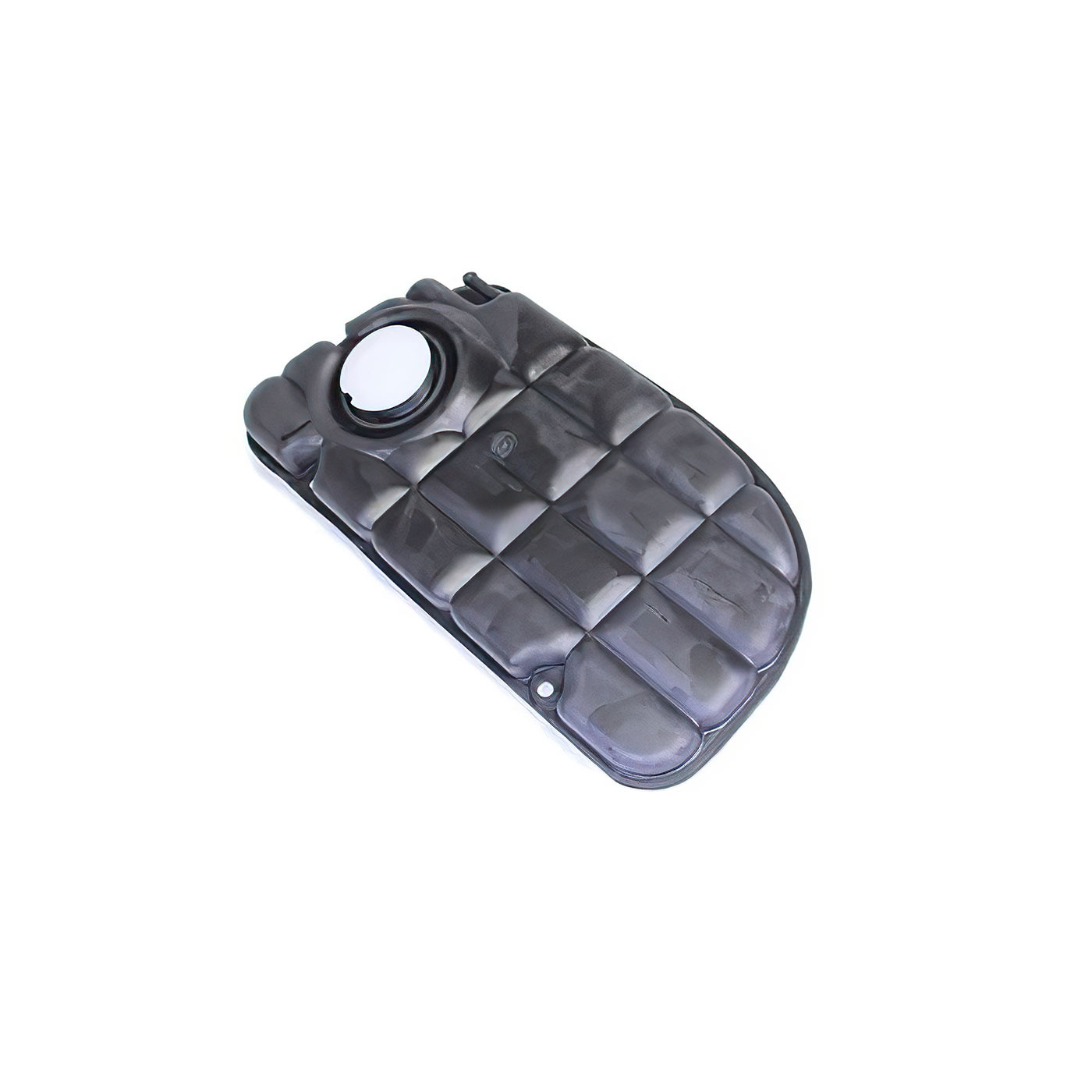 00-04 Radiator Surge Tank