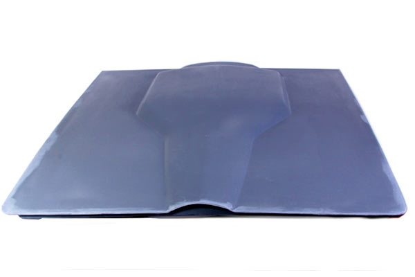 66 427 Hood Assembly (PM)