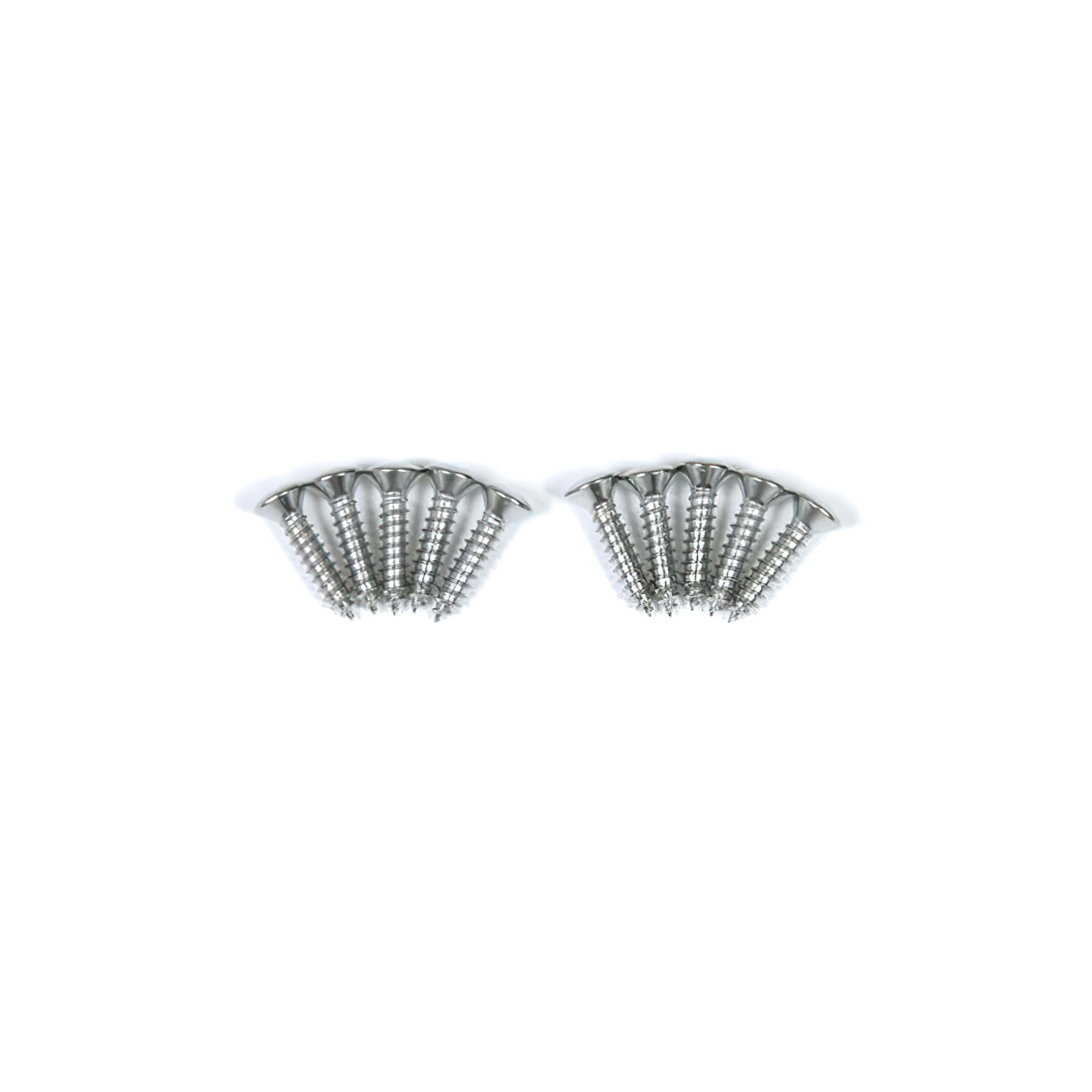 53-55 Sill Plate Screws (10)